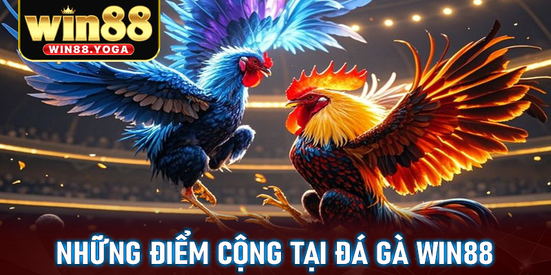 Tất cả những điểm cộng của sảnh đặt cược đá gà win88