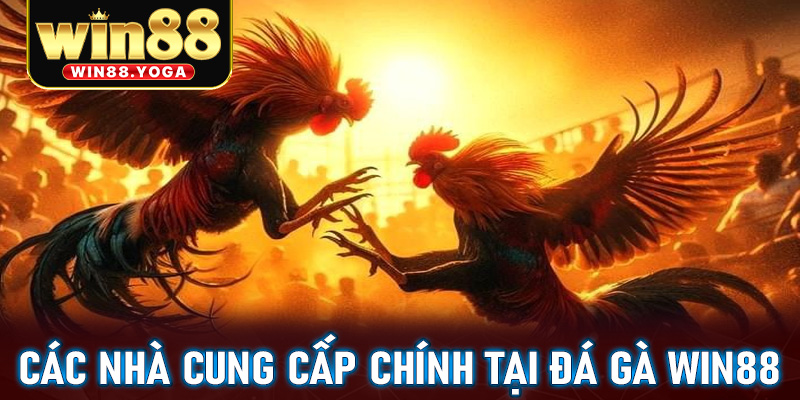 Các nhà cung cấp chính của trang cá cược đá gà win88